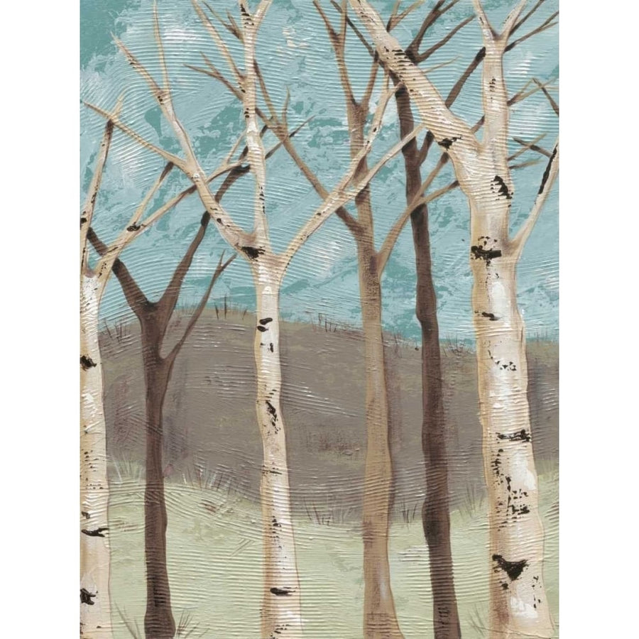 Blue Birches I Poster Print - Jade Reynolds-VARPDX74159GG Image 1