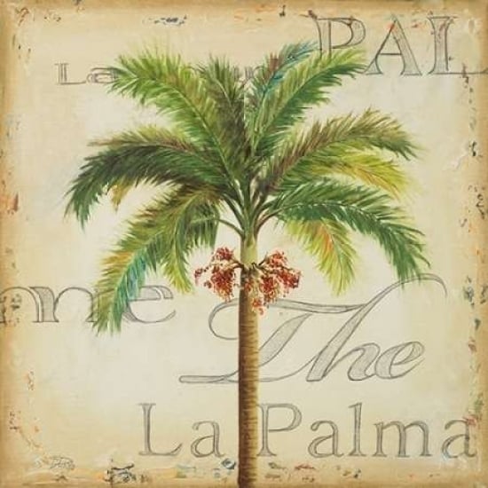 La Palma II Poster Print by Patricia Pinto-VARPDX7433 Image 1