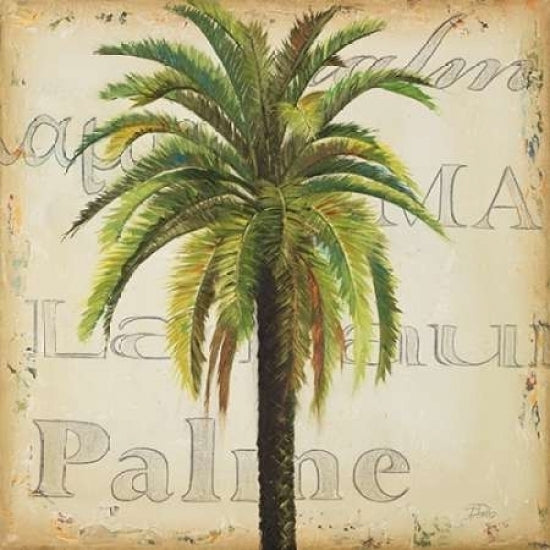 La Palma III Poster Print by Patricia Pinto-VARPDX7434 Image 1