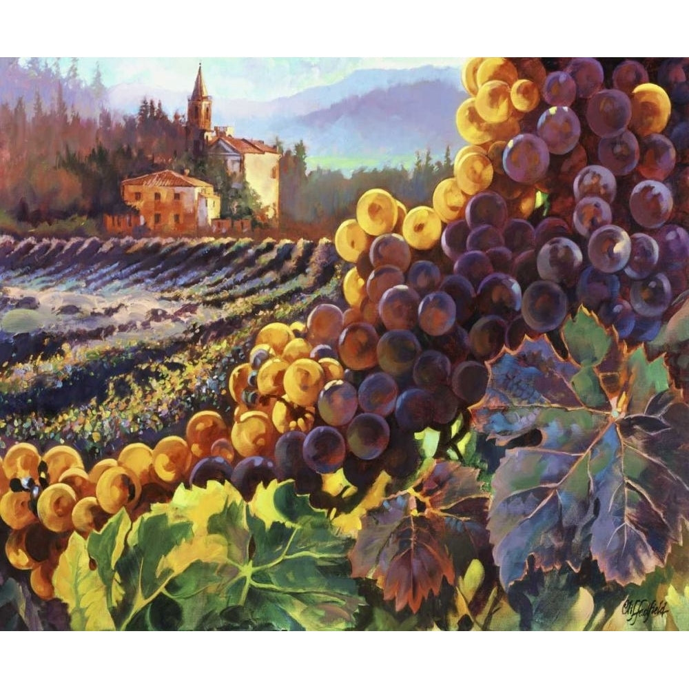 Tuscany Harvest Poster Print - Clif Hadfield-VARPDX74376GG Image 1