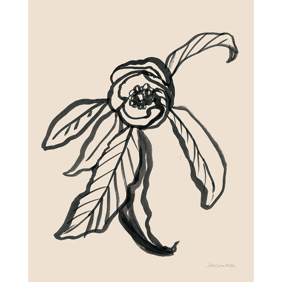 Ink Sketch Flower Poster Print - Sara Zieve Miller-VARPDX74430 Image 1