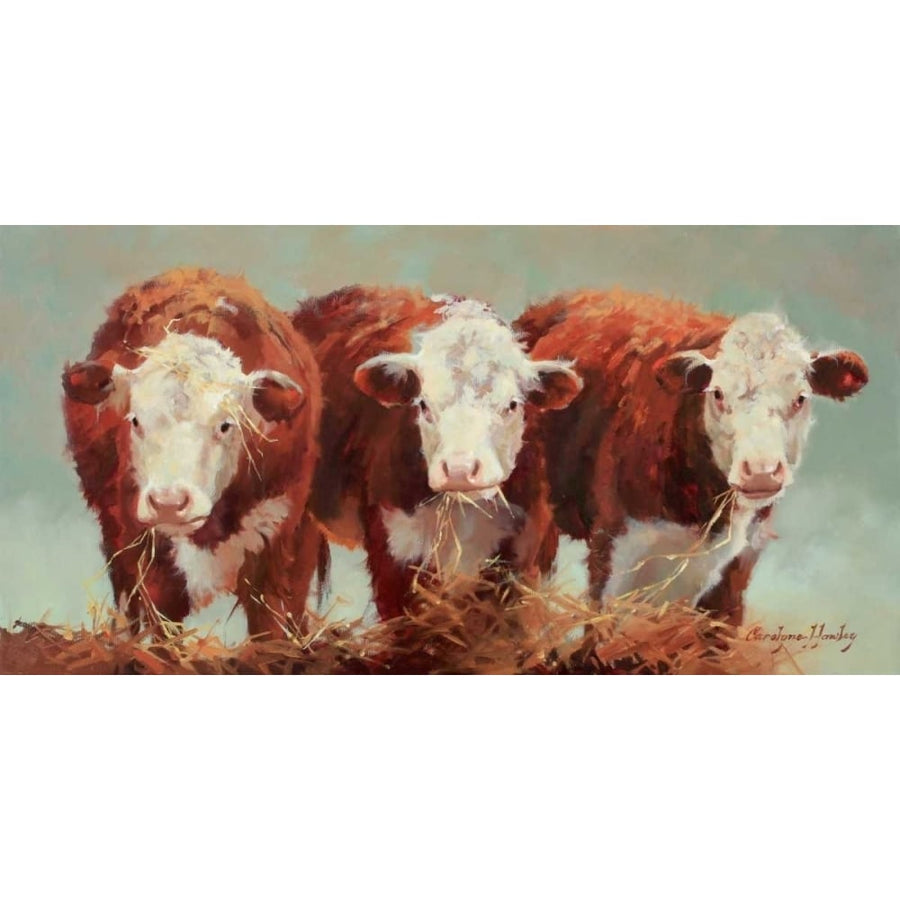 Three of a Kind Poster Print - Carolyne Hawley-VARPDX74441GG Image 1