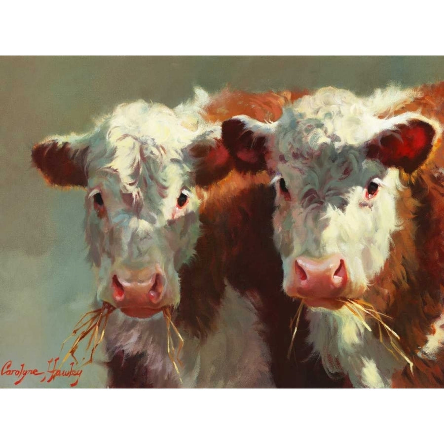 Cow Belles Poster Print - Carolyne Hawley-VARPDX74442GG Image 1