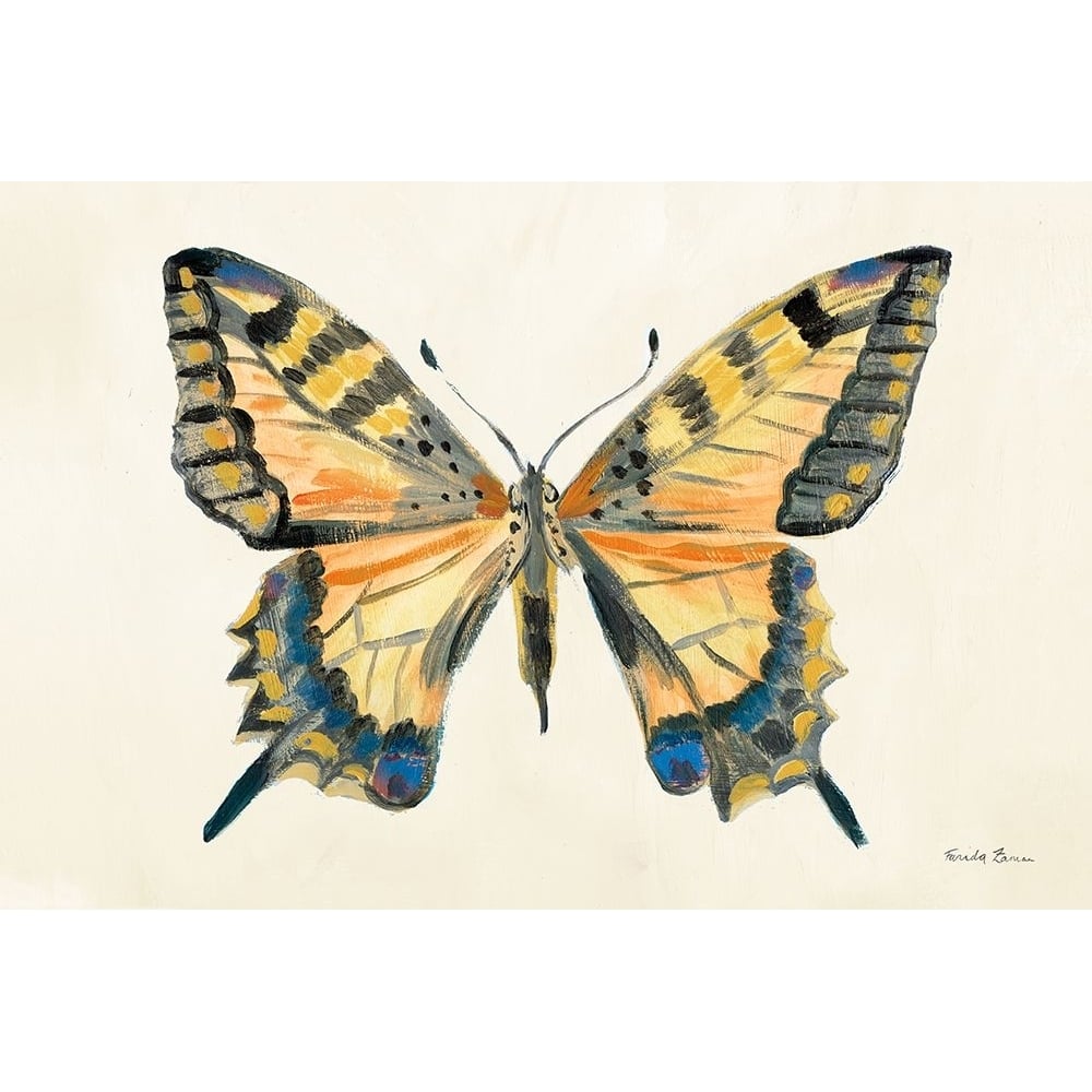 Butterfly Study II Poster Print - Farida Zaman-VARPDX74461 Image 1