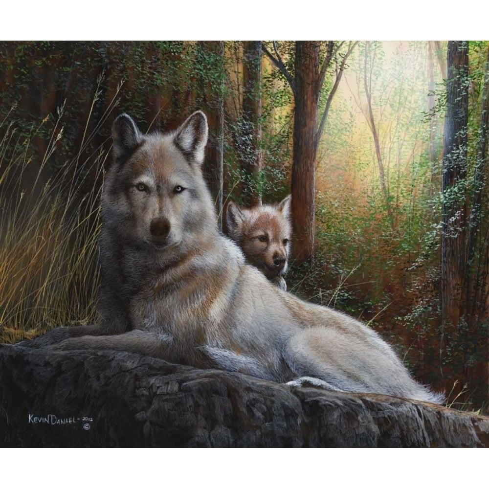 Recumbent Wolves Poster Print - Kevin Daniel-VARPDX74647GG Image 1