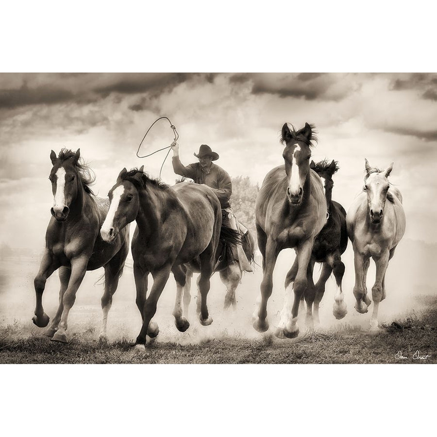 The Chase I Poster Print - David Drost-VARPDX74676GG Image 1