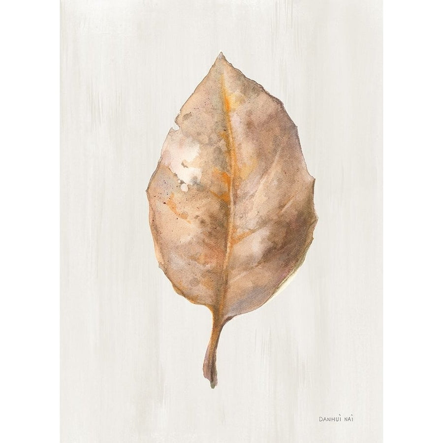 Fallen Leaf II Texture Poster Print - Danhui Nai-VARPDX74795 Image 1