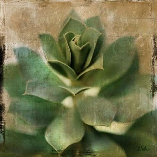 Succulent I Poster Print by Patricia Pinto-VARPDX7484 Image 2