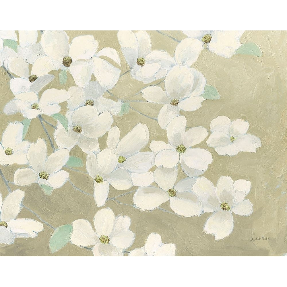 Dogwood Delight Poster Print - James Wiens-VARPDX75172 Image 1