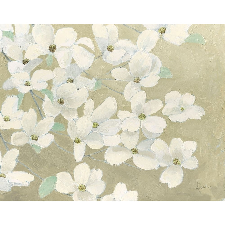 Dogwood Delight Poster Print - James Wiens-VARPDX75172 Image 1