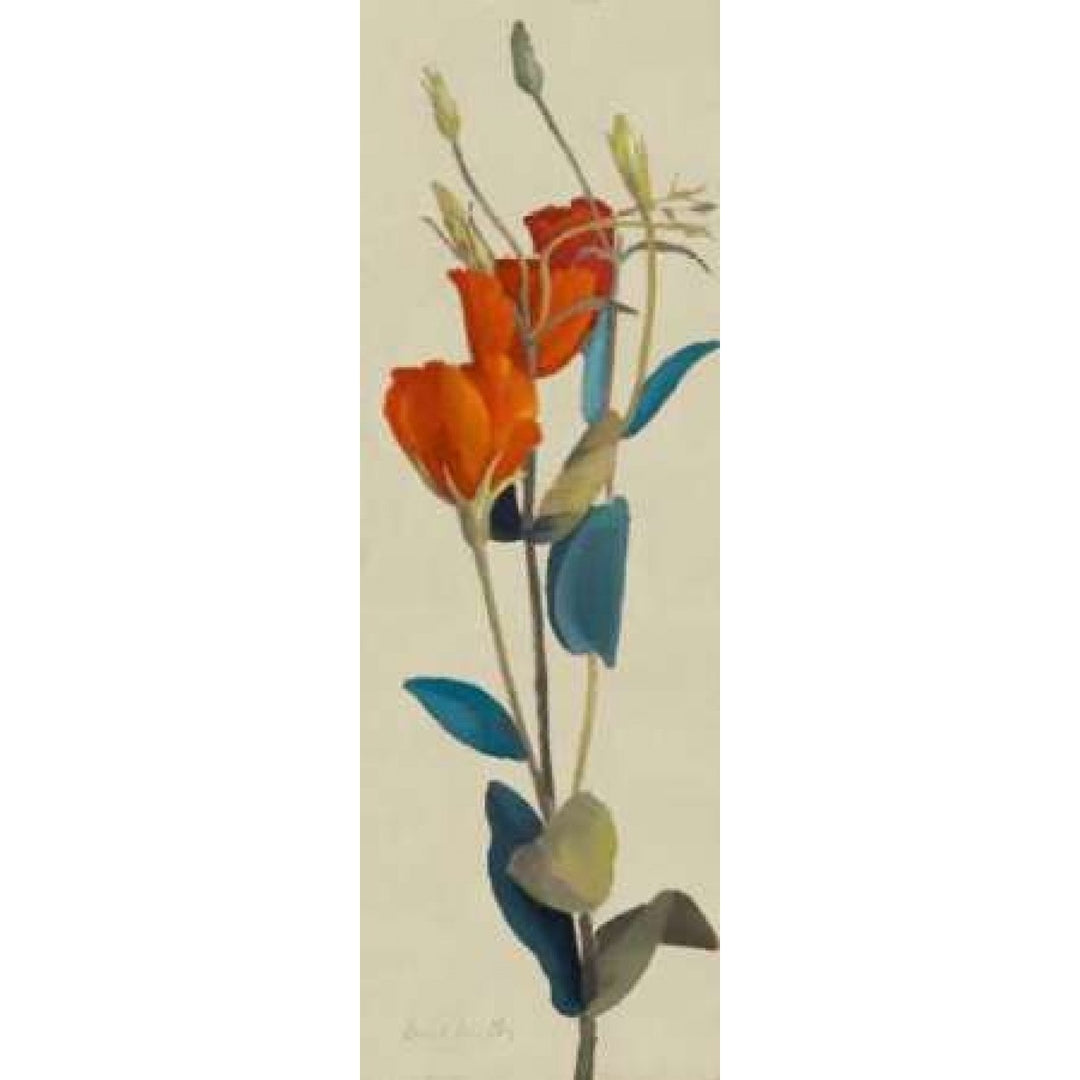 Red Grandiflorum I Poster Print by Lanie Loreth-VARPDX7547A Image 1