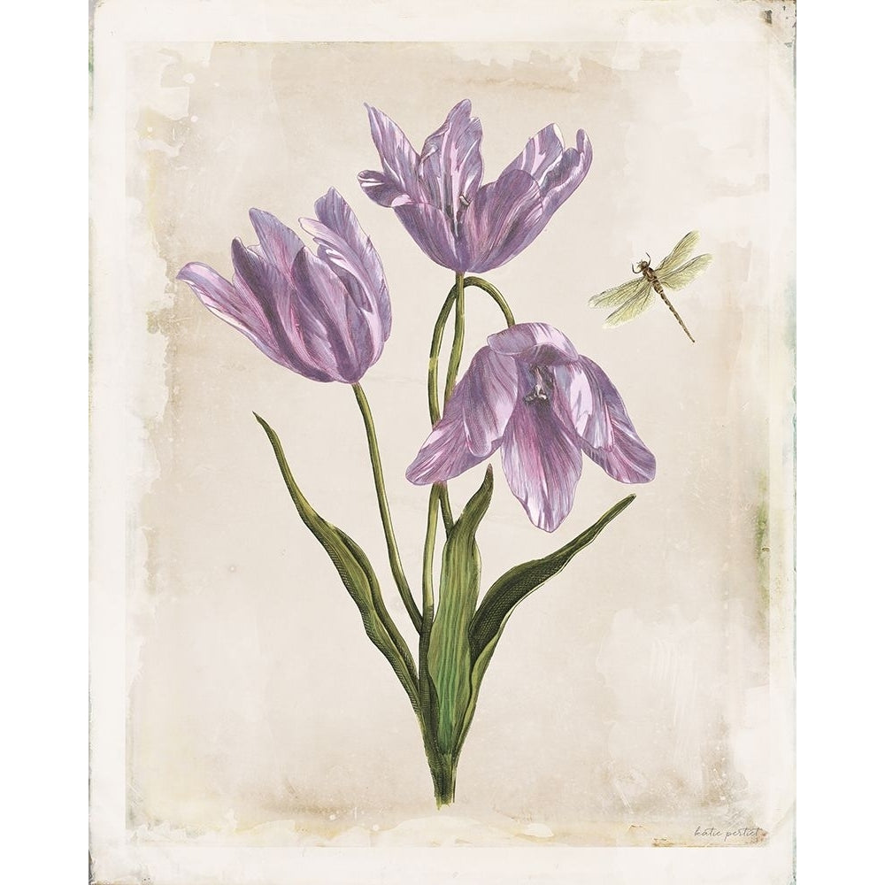 Antiquarian Blooms III Purple Poster Print - Katie Pertiet-VARPDX75497 Image 1