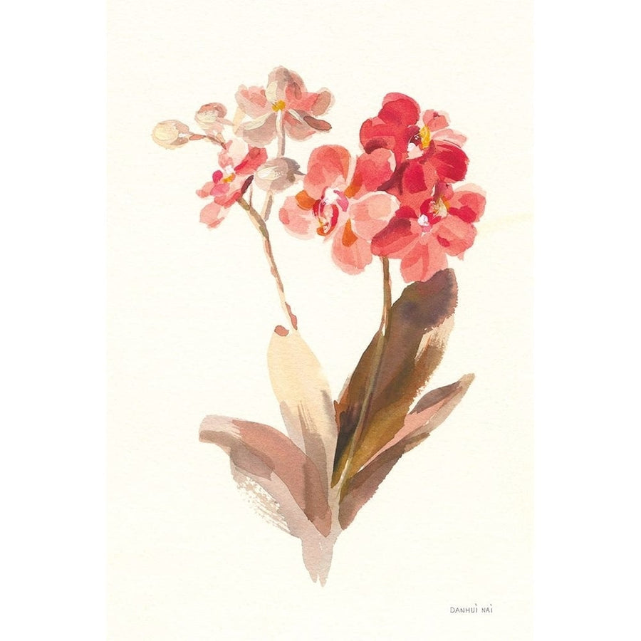 Autumn Orchid II Poster Print - Danhui Nai-VARPDX75560 Image 1