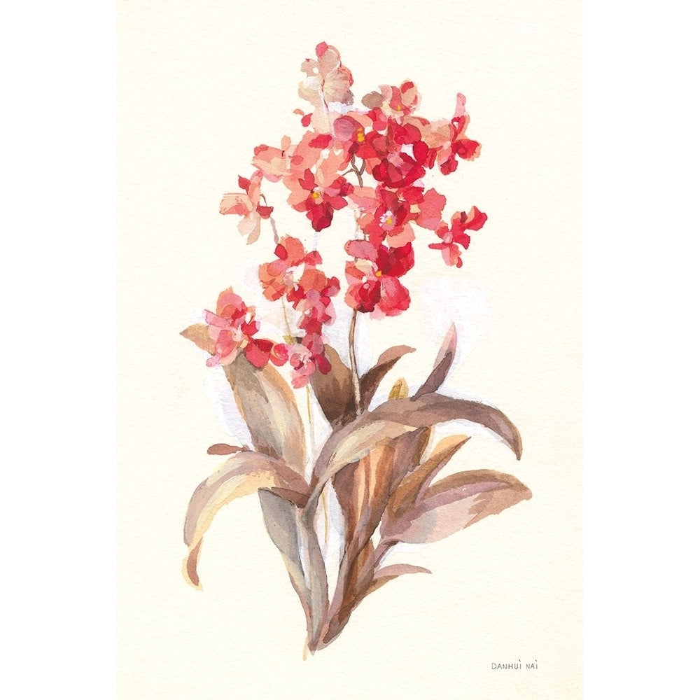 Autumn Orchid I Poster Print - Danhui Nai-VARPDX75559 Image 1