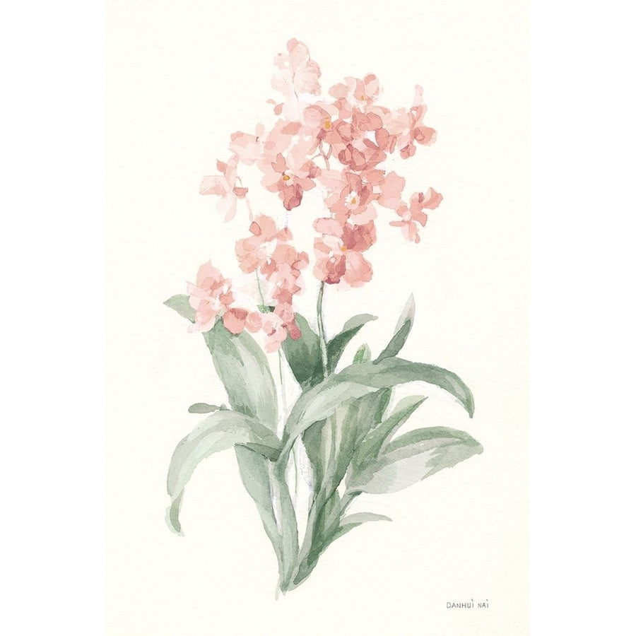 Spring Orchid I Poster Print - Danhui Nai-VARPDX75763 Image 1