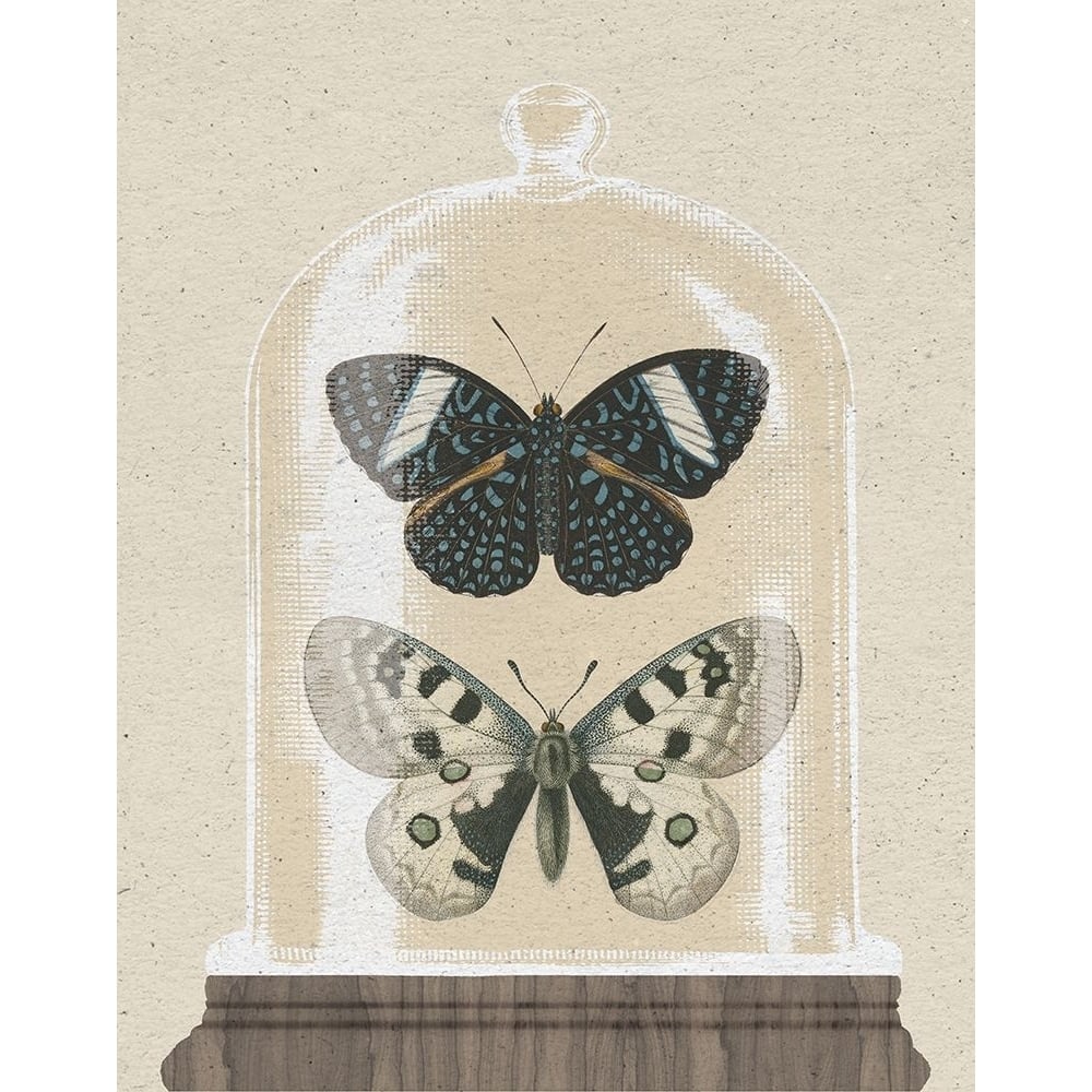 Cottage Butterflies I Poster Print - Wild Apple Portfolio-VARPDX75787 Image 1