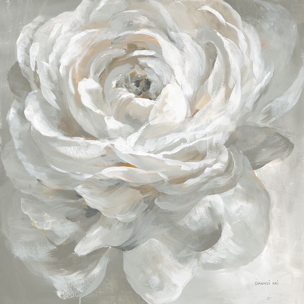 White Rose Poster Print - Danhui Nai-VARPDX75855 Image 1