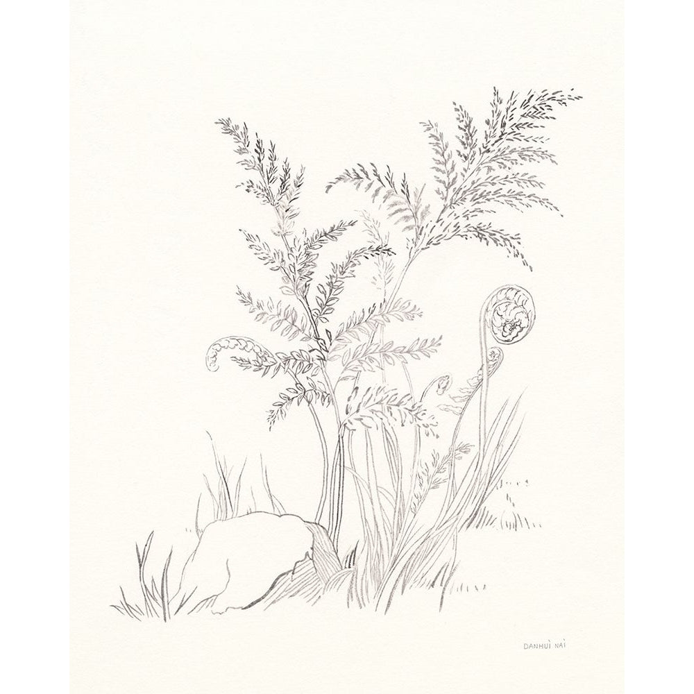 Nature Sketchbook VI Poster Print - Danhui Nai-VARPDX75949 Image 1