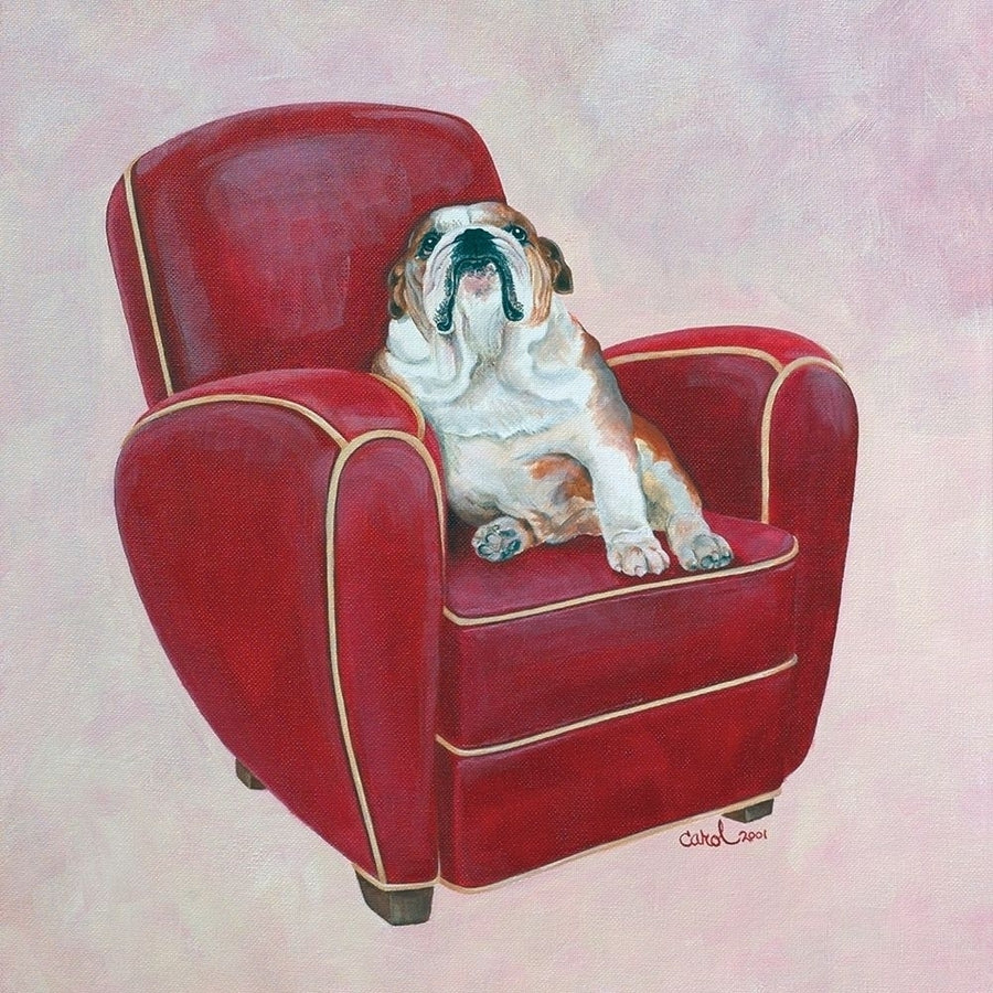 Bulldog on Red Poster Print - Carol Dillon-VARPDX76009D Image 1