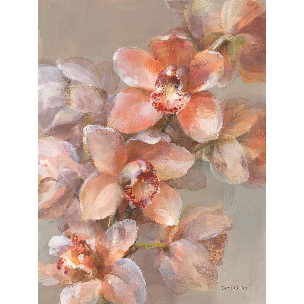 Delicate Orchid I Poster Print - Danhui Nai-VARPDX76095 Image 1