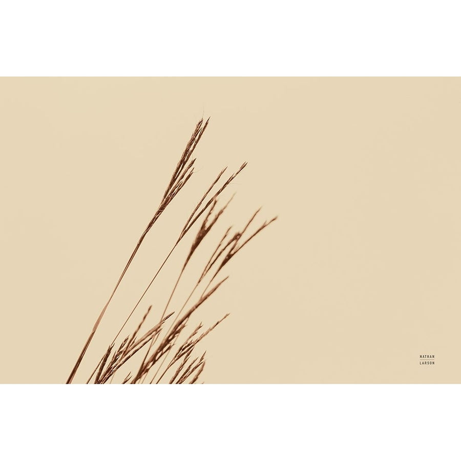 Lakeside Grasses IV Poster Print - Nathan Larson-VARPDX76211 Image 1