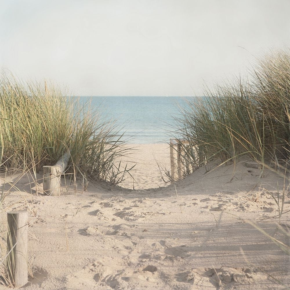 Beach Grasses Poster Print - Pela Studio-VARPDX76251 Image 1