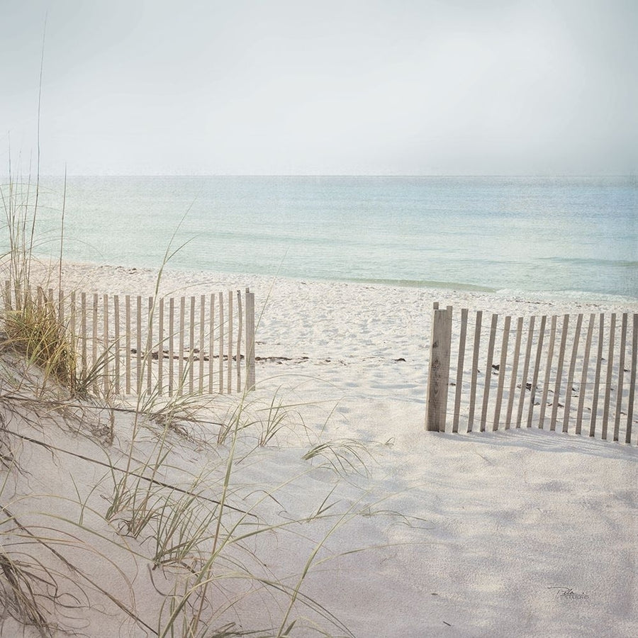 Beach Fence Poster Print - Pela Studio-VARPDX76252 Image 1