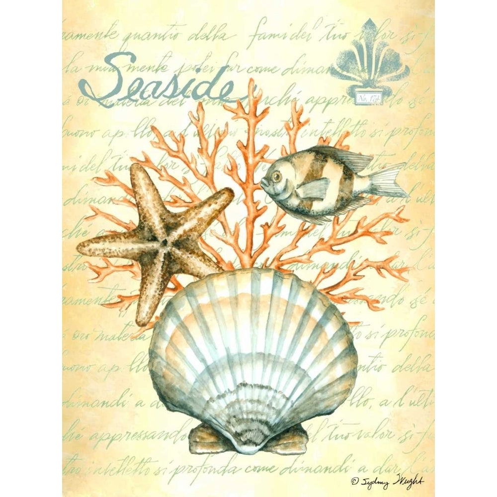 Under The Sea I Poster Print - Sydney Wright-VARPDX76345D Image 1