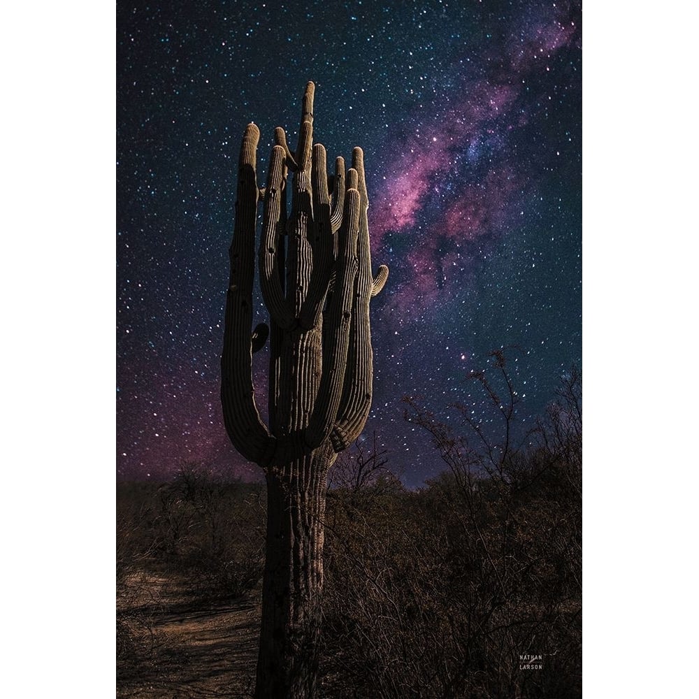 Desert Nights Poster Print - Nathan Larson-VARPDX76428 Image 1