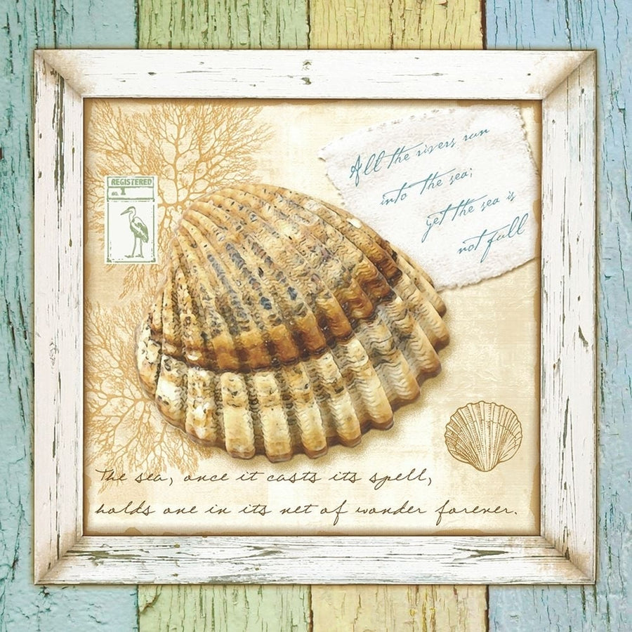 Sea Treasures V Poster Print - Anne Creative Beth-VARPDX76415D Image 1