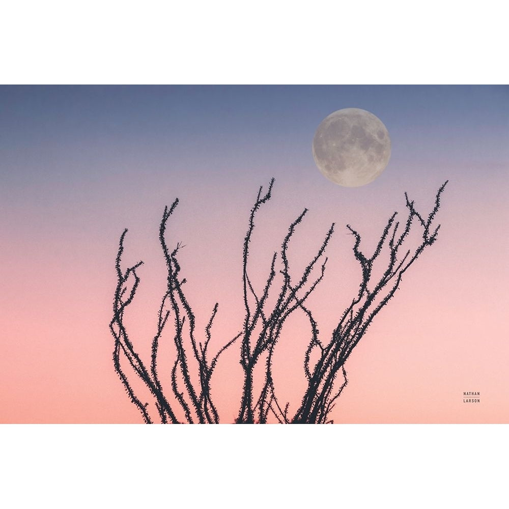 Reaching Up Moon Poster Print - Nathan Larson-VARPDX76442 Image 1