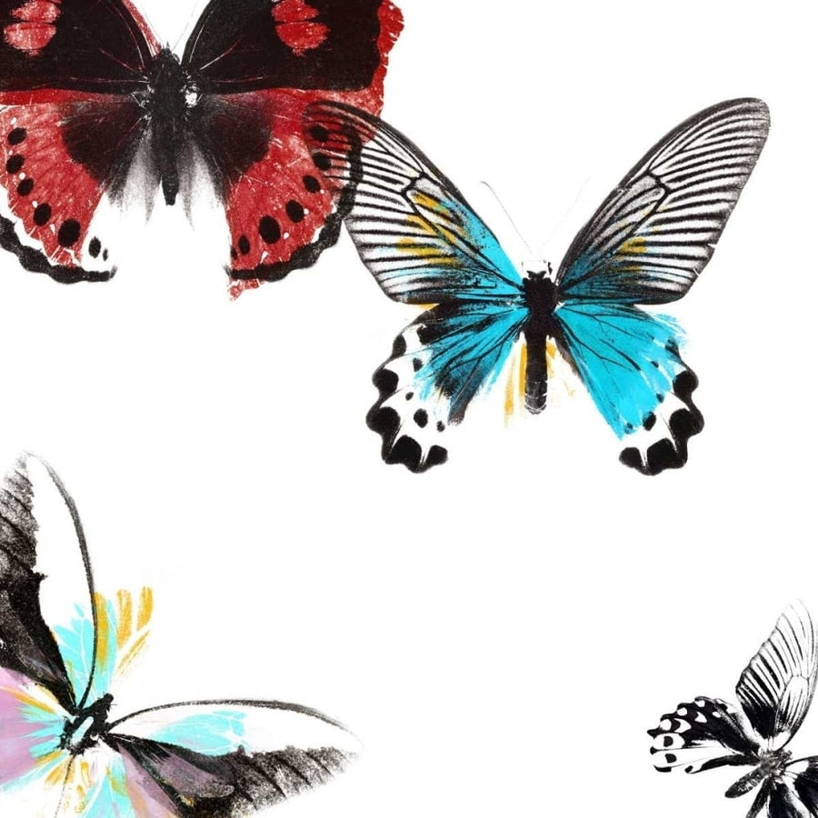 Butterflies Dance I Poster Print - A. Project-VARPDX76480D Image 1