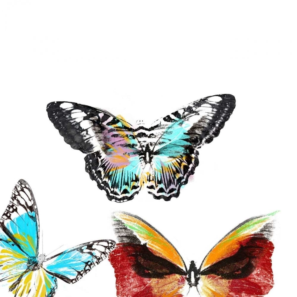 Butterflies Dance II Poster Print - A. Project-VARPDX76481D Image 1