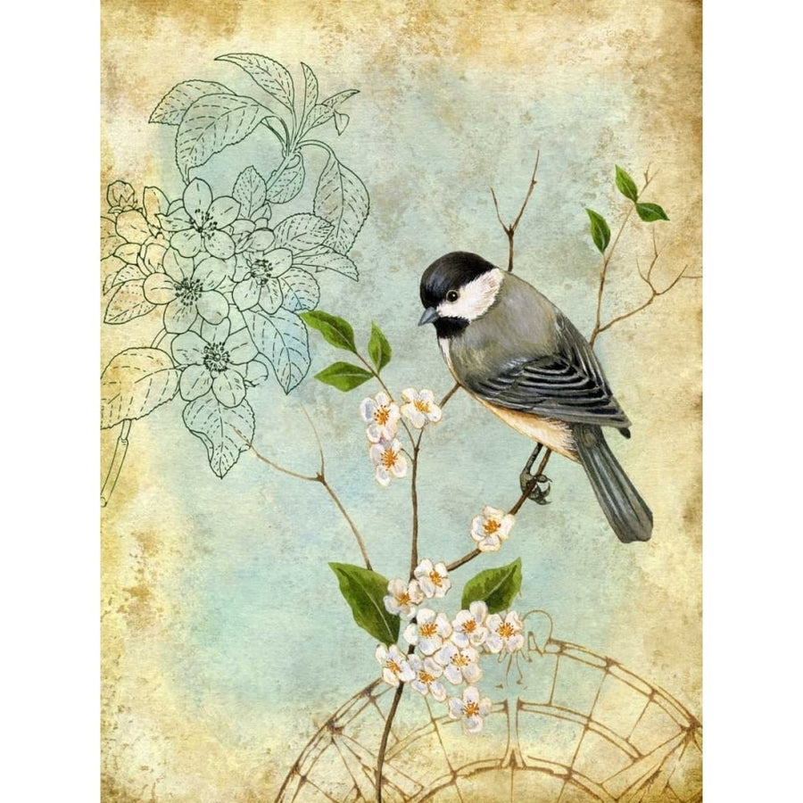 Songbird Sketchbook II Poster Print - Jane Maday-VARPDX76530D Image 1