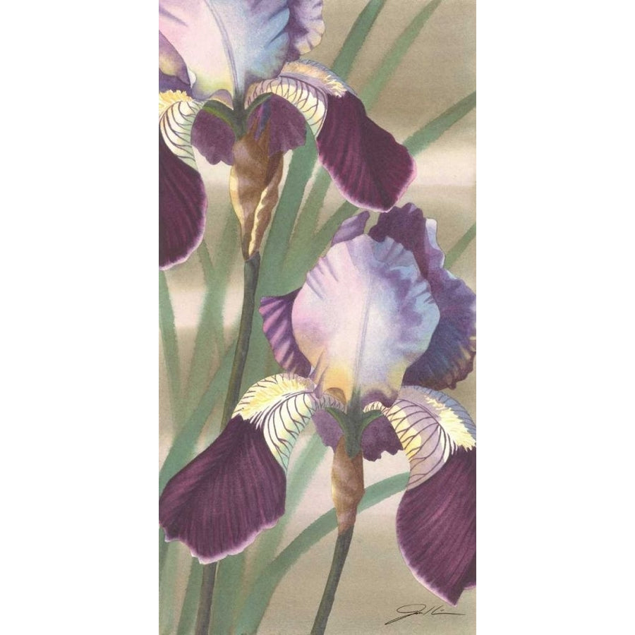 Asian Iris II Poster Print - Jason Higby-VARPDX76571D Image 1