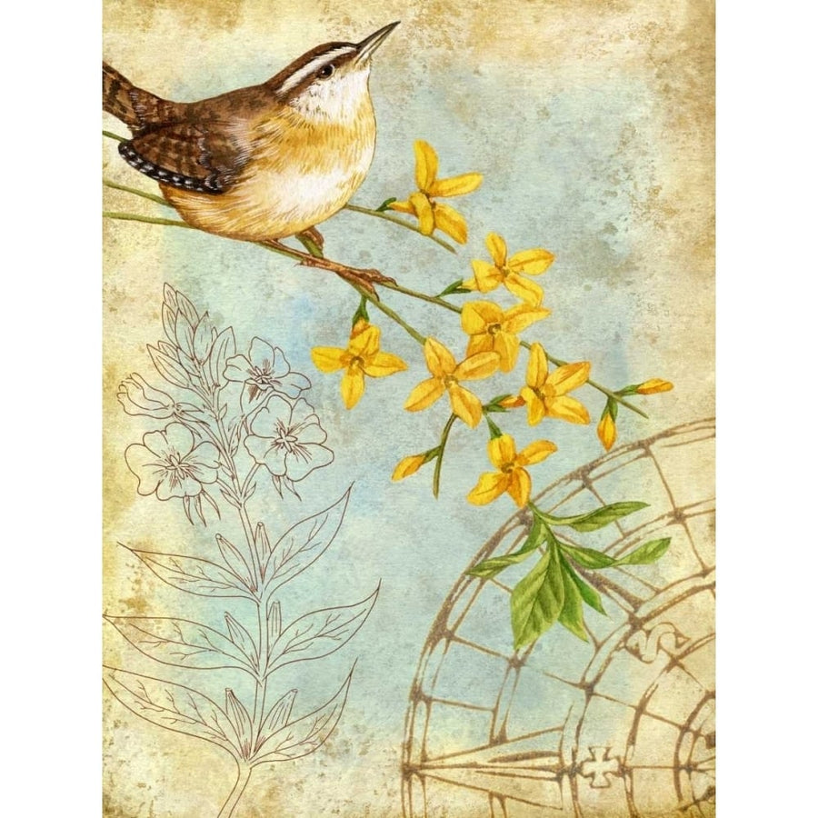 Songbird Sketchbook I Poster Print - Jane Maday-VARPDX76529D Image 1