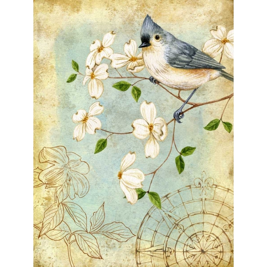 Songbird Sketchbook IV Poster Print - Jane Maday-VARPDX76532D Image 1