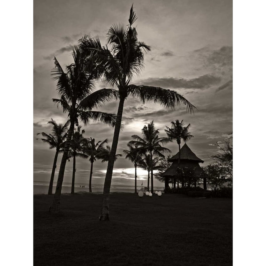 Palms at Night I Poster Print - Tang Ling-VARPDX76703D Image 1