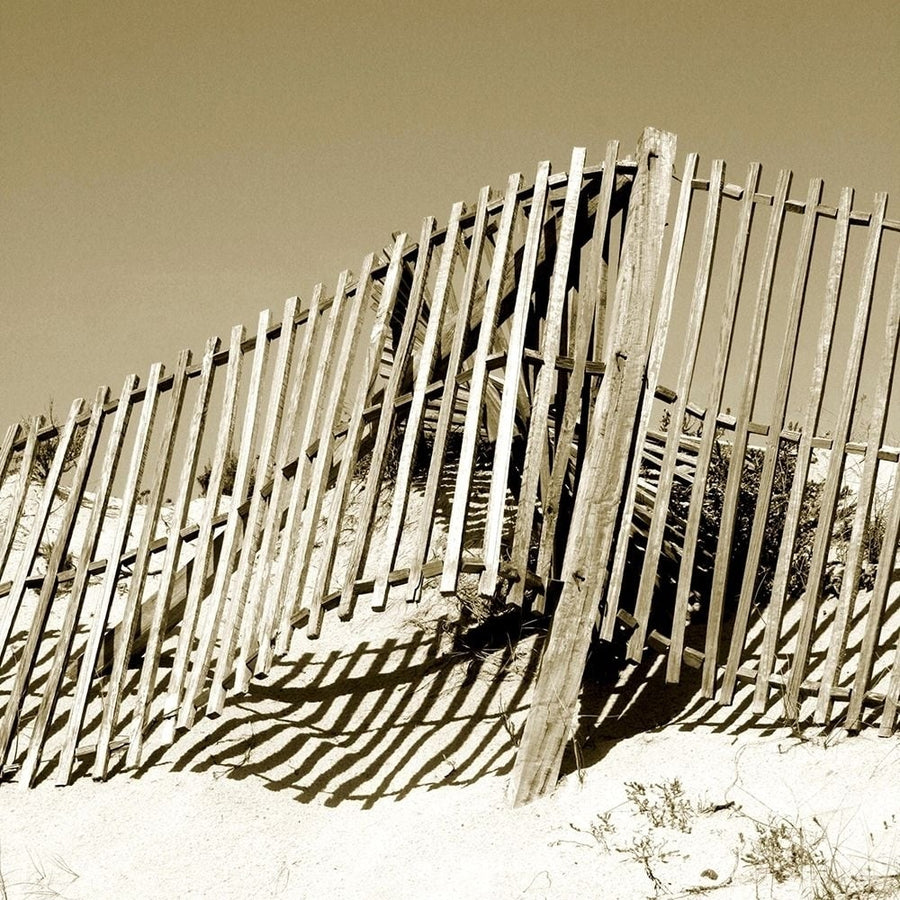 Fences in the Sand II Poster Print - Noah Bay-VARPDX77056D Image 1