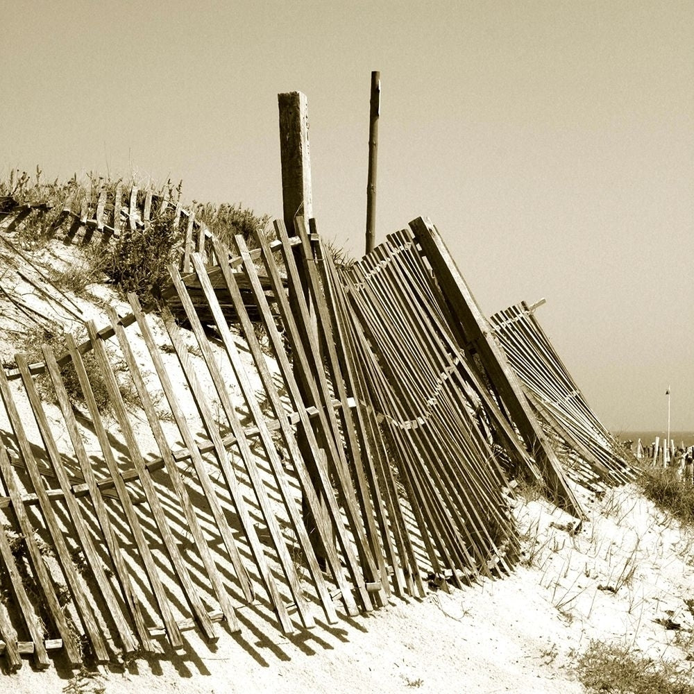 Fences in the Sand I Poster Print - Noah Bay-VARPDX77055D Image 1