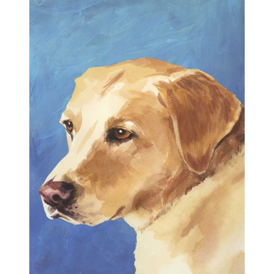 Dog Portrait-Yellow Lab Poster Print - Jill Sands-VARPDX77133D Image 1