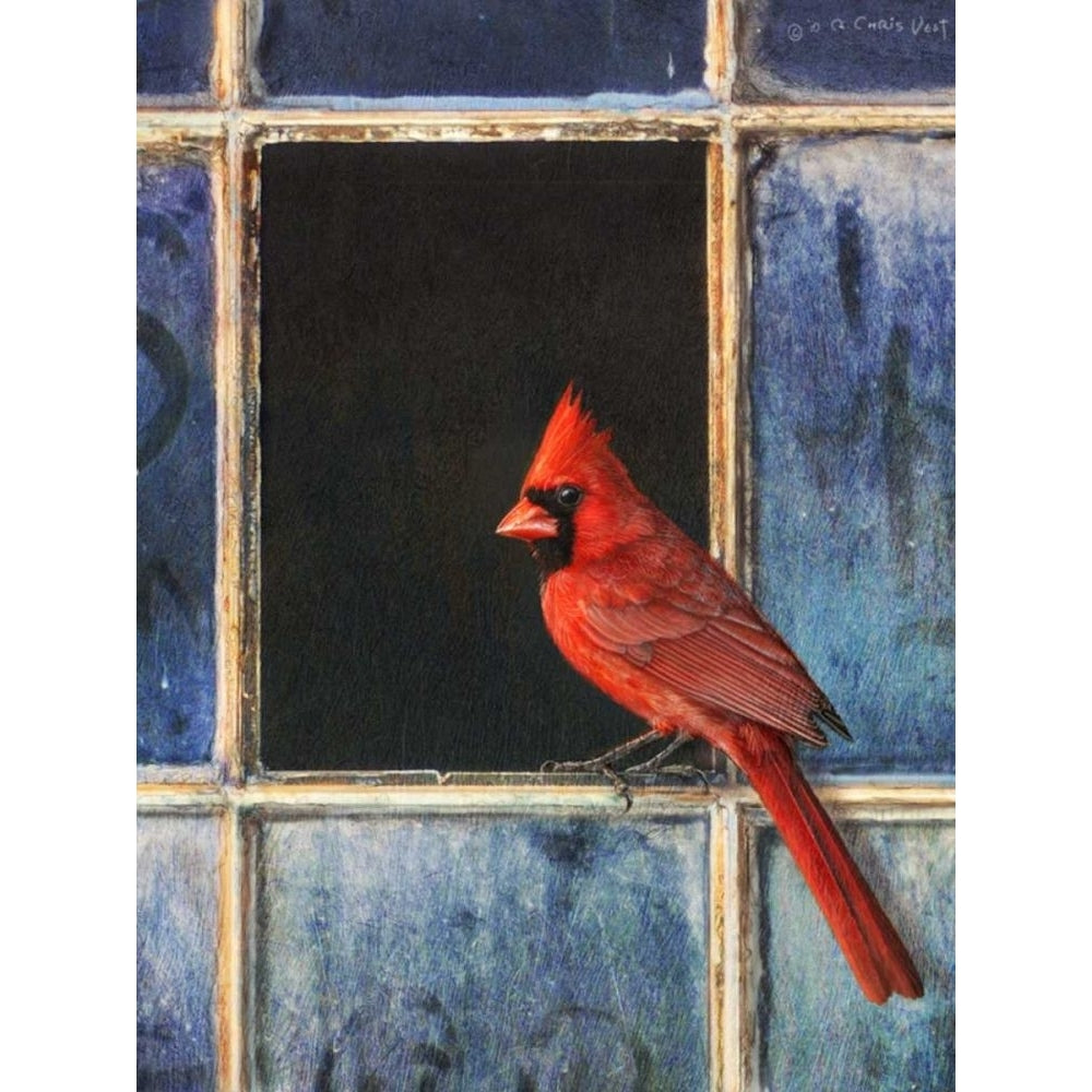 Cardinal Window Poster Print - Chris Vest-VARPDX77153D Image 1