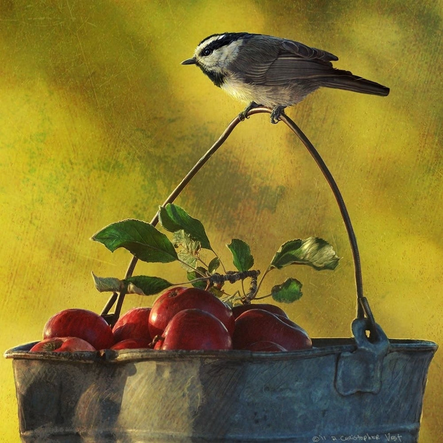 Apples and Chickadee Poster Print - Chris Vest-VARPDX77198D Image 1