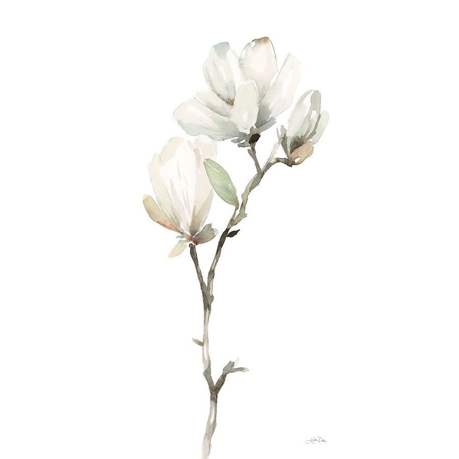 White Magnolia II Poster Print - Katrina Pete-VARPDX77227 Image 1