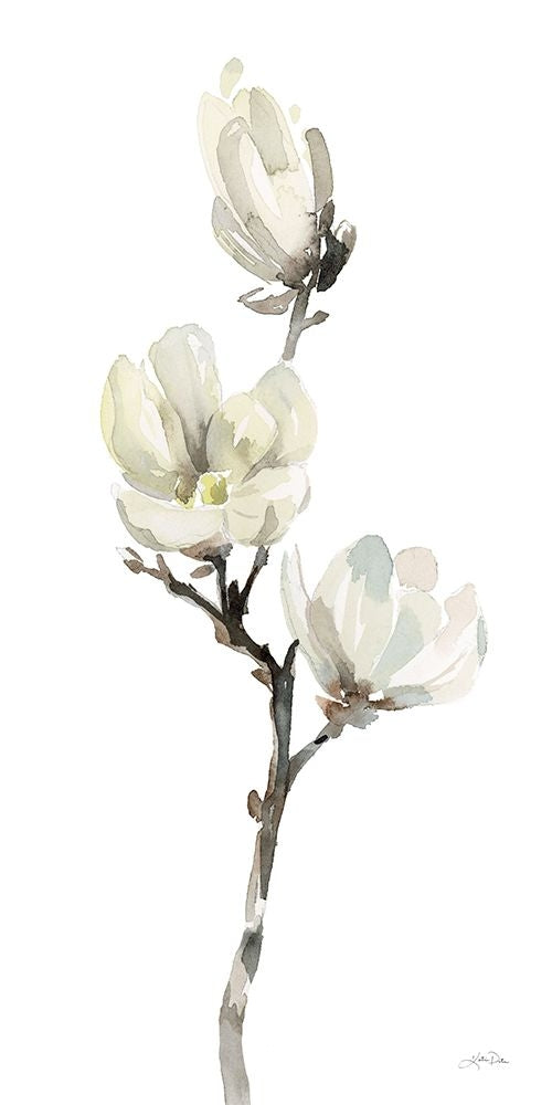 White Magnolia I Poster Print - Katrina Pete-VARPDX77226 Image 1