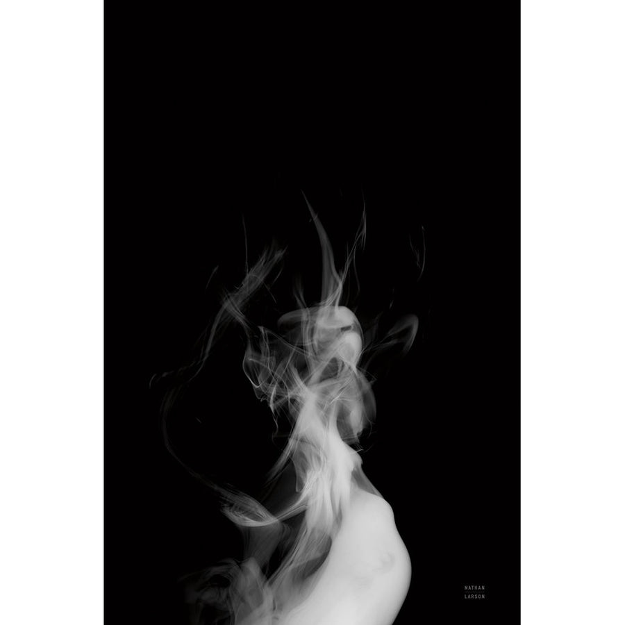 Smoke IV Poster Print - Nathan Larson-VARPDX77338 Image 1