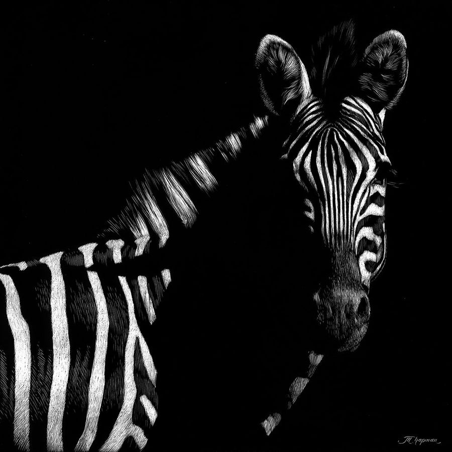 Wildlife Scratchboards IV Poster Print - Julie T. Chapman-VARPDX77472D Image 1