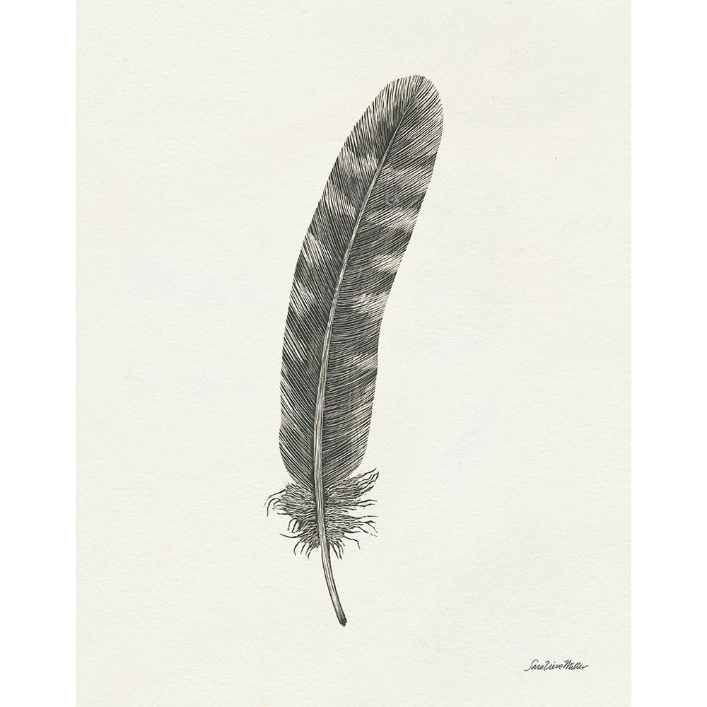 Springtime Feather I Poster Print - Sara Zieve Miller-VARPDX77559 Image 1