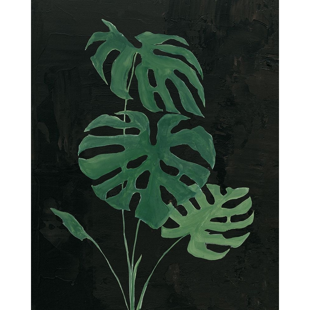 Palm Botanical I Black Poster Print - Julia Purinton-VARPDX77563 Image 1