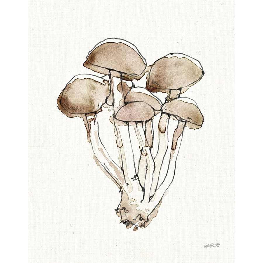 Fresh Farmhouse Mushrooms I Poster Print - Anne Tavoletti-VARPDX77713 Image 1